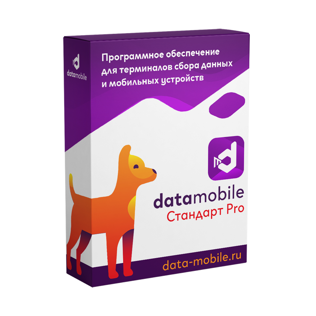DataMobile на ТСД